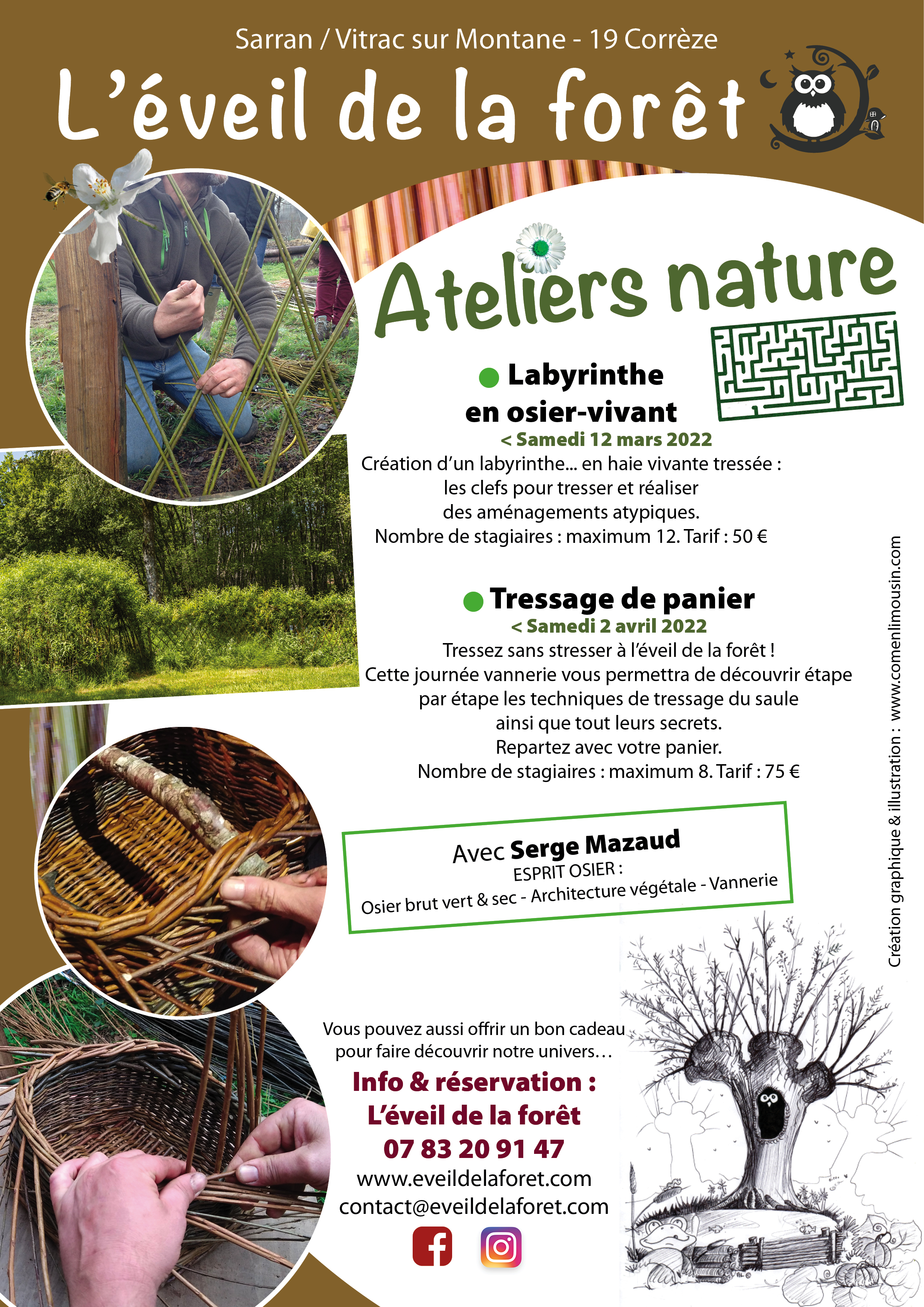 atelier nature eveil foret correze saule vannerie haie jardin permaculture