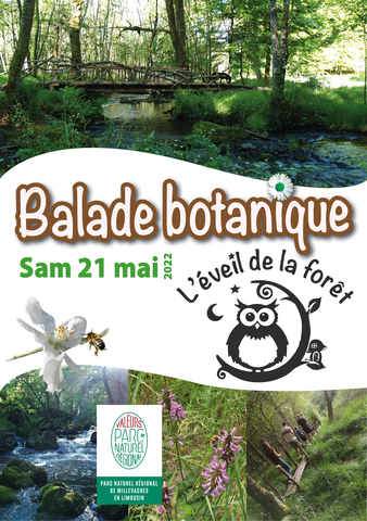 Balade botanique à L’éveil de la forêt 