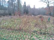 labyrinthesaulesarran