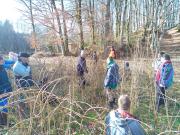 plantationlabyrinthe