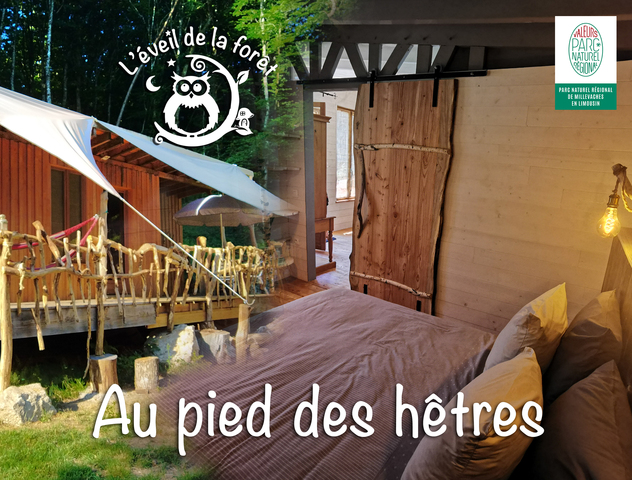 Bienvenue dans la cabane « Au pied des hêtres »
